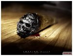 1257232945_1245129486_smoking-kill-pictures-031-neky.ru.jpg