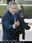 20040108-bush_dog.jpg