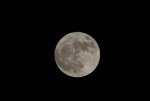 moon_190311_crop100.jpg