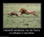 893950_gienoj-mozhesh-tyi-ne-byit.jpg