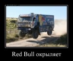 demotivatorium_ru_red_bull_okriljaet_45673.jpg