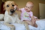 13574510-R3L8T8D-650-7172460-R3L8T8D-650-cute-big-dogs-and-babies-32.jpg