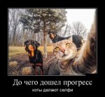 1468260121_smeshnye-demotivatory-11_xaxa-net_ru.jpg